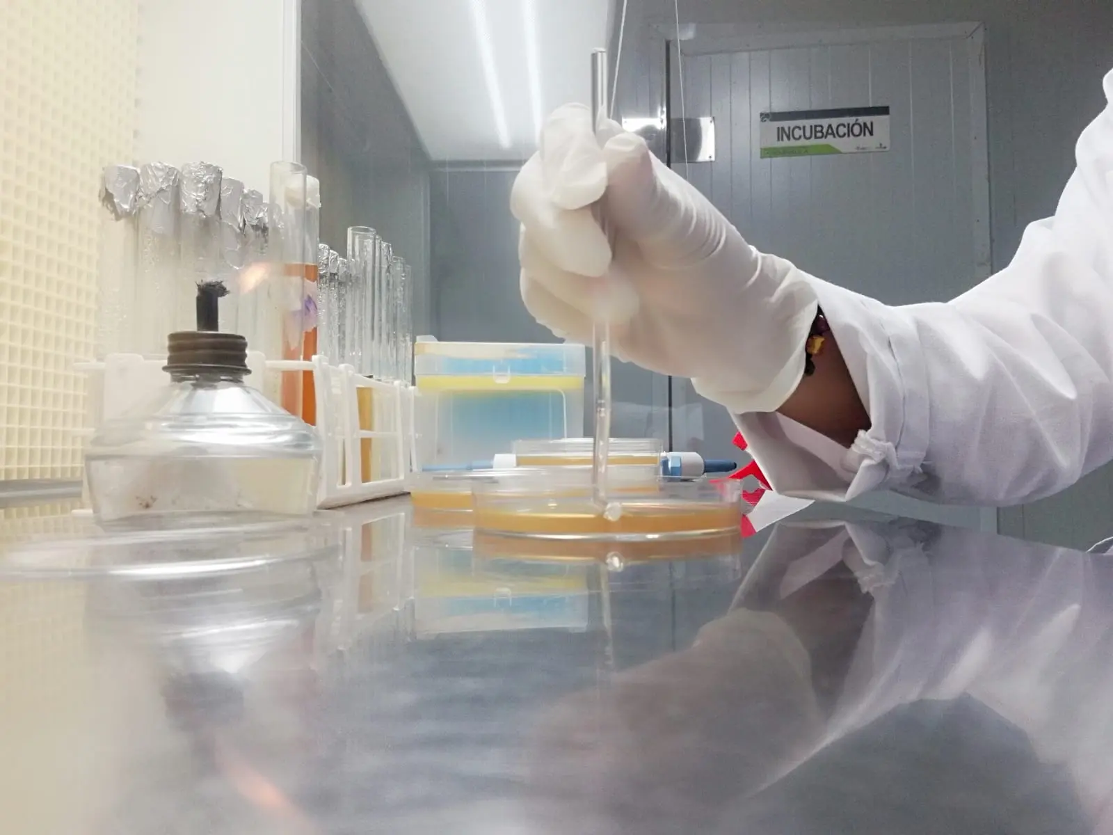 Sostenibilidad Melopen