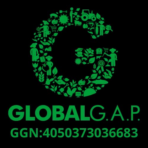 Global Gap Certified